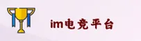 【官网】IM电竞官方登录入口 - 2026新版